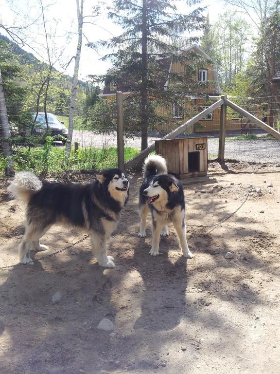 Grangette Entre Chiens Et Loups Hotel L'Anse-Saint-Jean Exterior photo